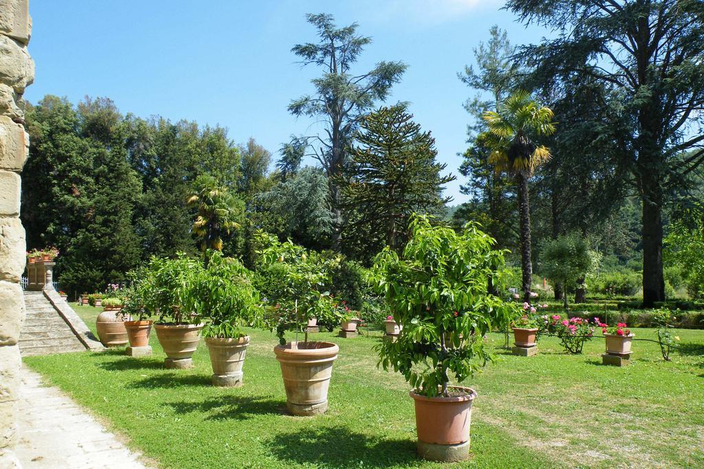 Гостевой дом Agriturismo Fattoria Di Gragnone Экстерьер фото