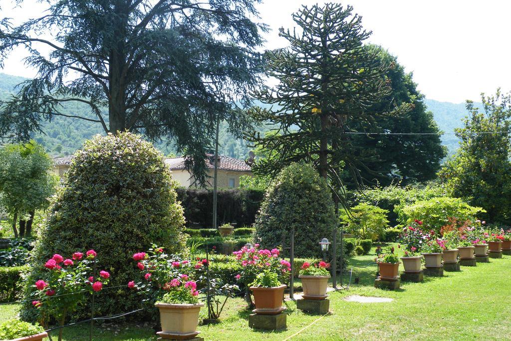 Гостевой дом Agriturismo Fattoria Di Gragnone Экстерьер фото